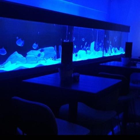 The New Blue Horse Suite At The Grumpy Schnauzer B&B Luxury Private Indoor Hot Tub Breakfast In Bed Airdrie Eksteriør billede